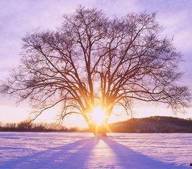 1024国产基地在线